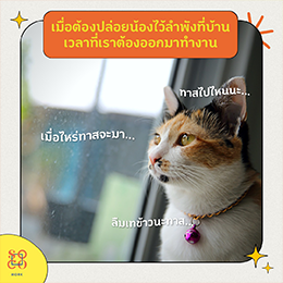 โซโค เวิร์ก - SOCO Work 13.png