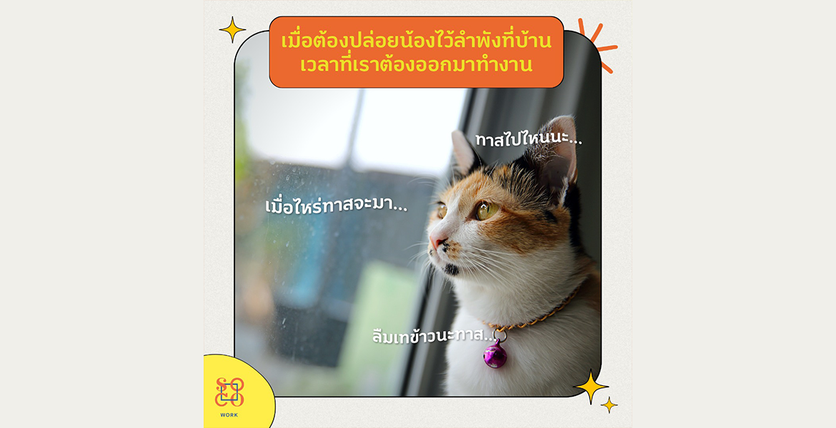 เมื่อต้องปล่อยน้องไว้ลำพังที่บ้าน ในเวลาที่เราต้องออกมาทำงาน!